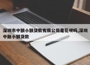 深圳市中额小额贷款有限公司是花呗吗,深圳中融小额贷款